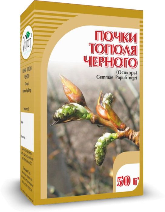 Тополь (почки)